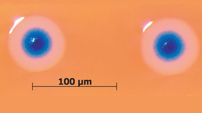 Man-Made Cells